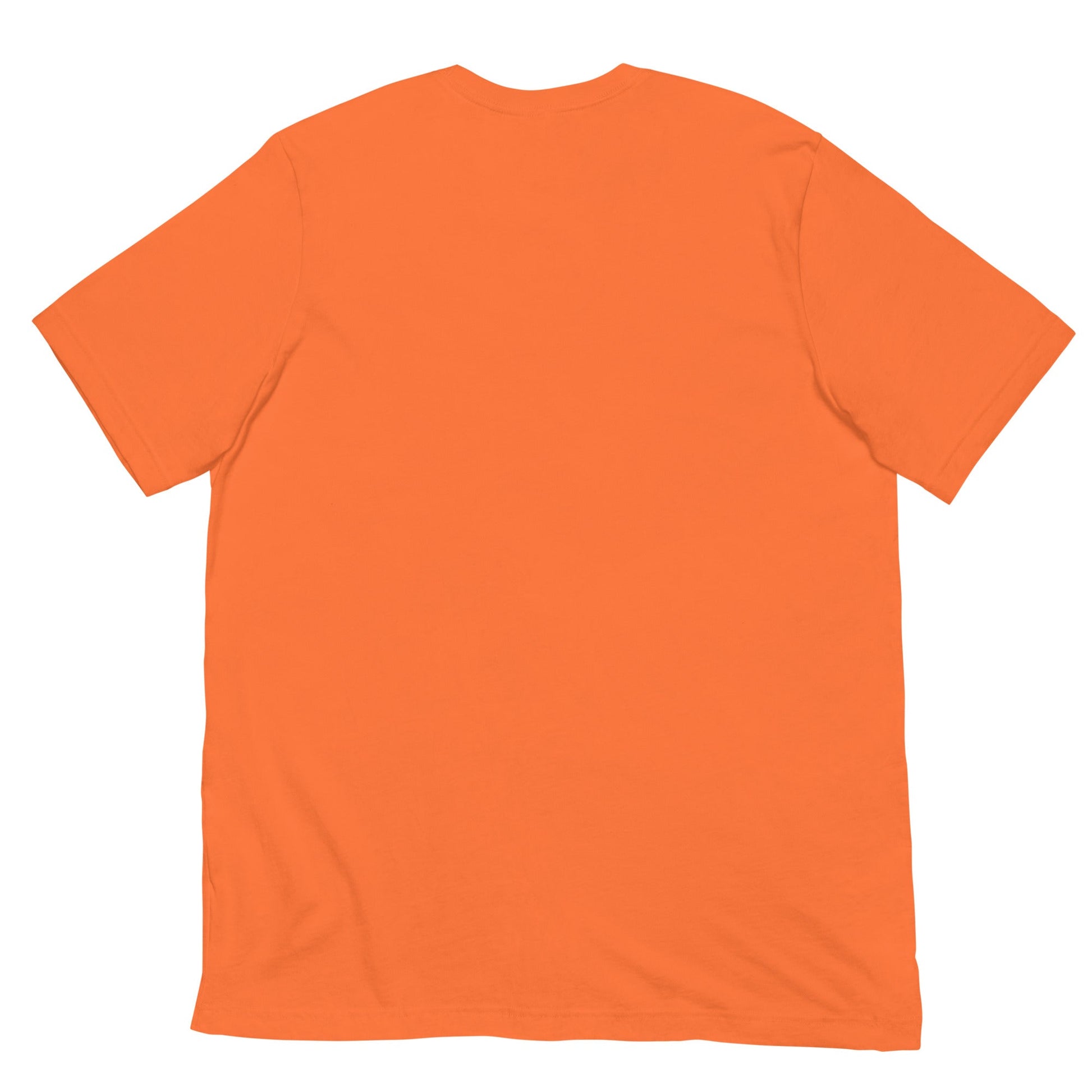 Equinox Harmony: Fire and Ice Guardians - Unisex t-shirt - BBairt