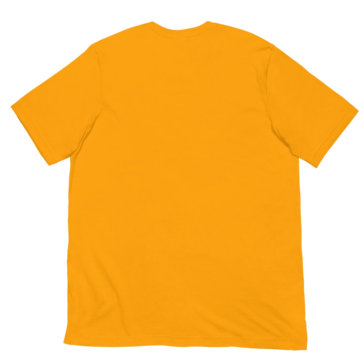 Equinox Harmony: Fire and Ice Guardians - Unisex t-shirt - BBairt