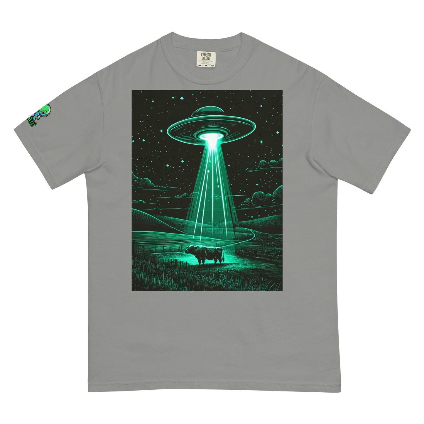 The Abduction Chronicles - Unisex garment - dyed heavyweight t-shirt - BBairt
