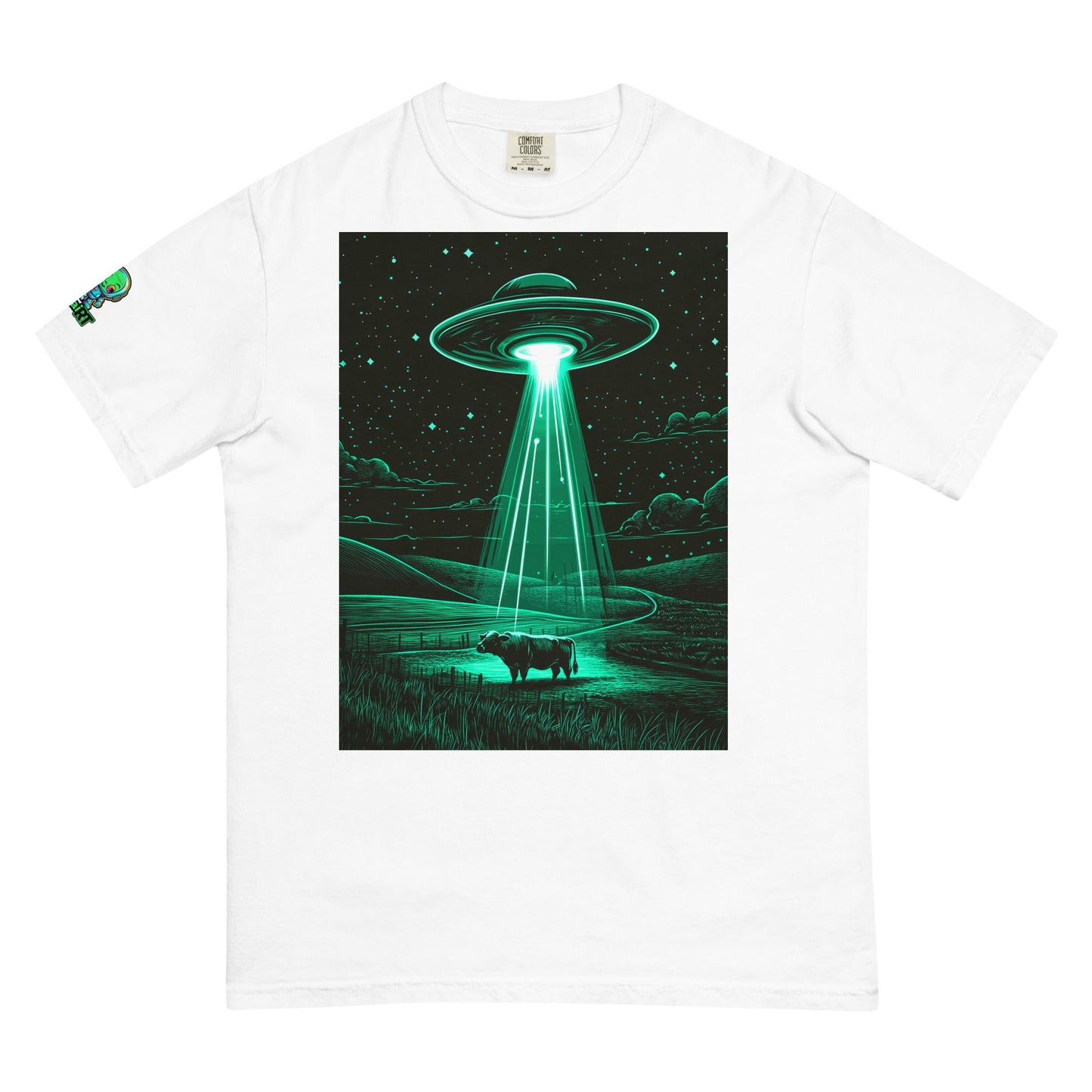 The Abduction Chronicles - Unisex garment - dyed heavyweight t-shirt - BBairt