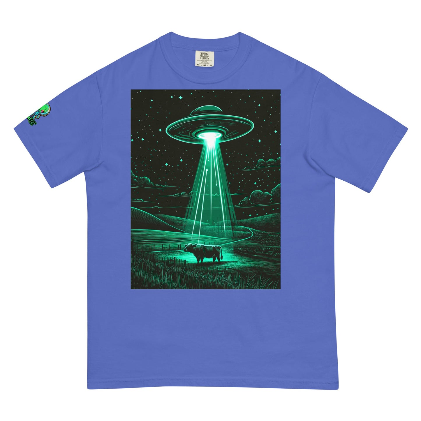 The Abduction Chronicles - Unisex garment - dyed heavyweight t-shirt - BBairt