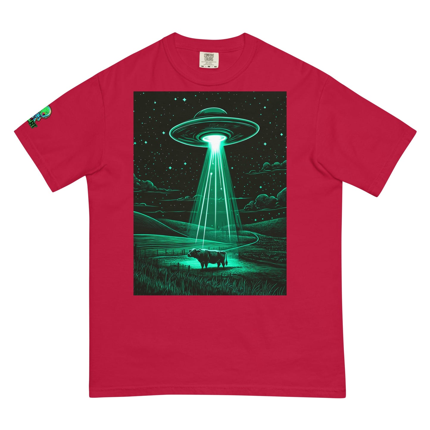 The Abduction Chronicles - Unisex garment - dyed heavyweight t-shirt - BBairt