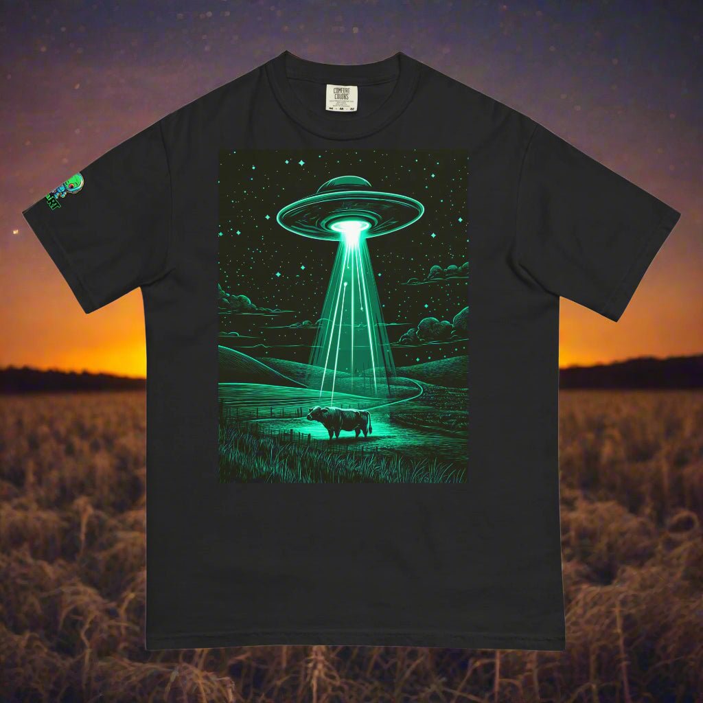 The Abduction Chronicles - Unisex garment - dyed heavyweight t-shirt - BBairt