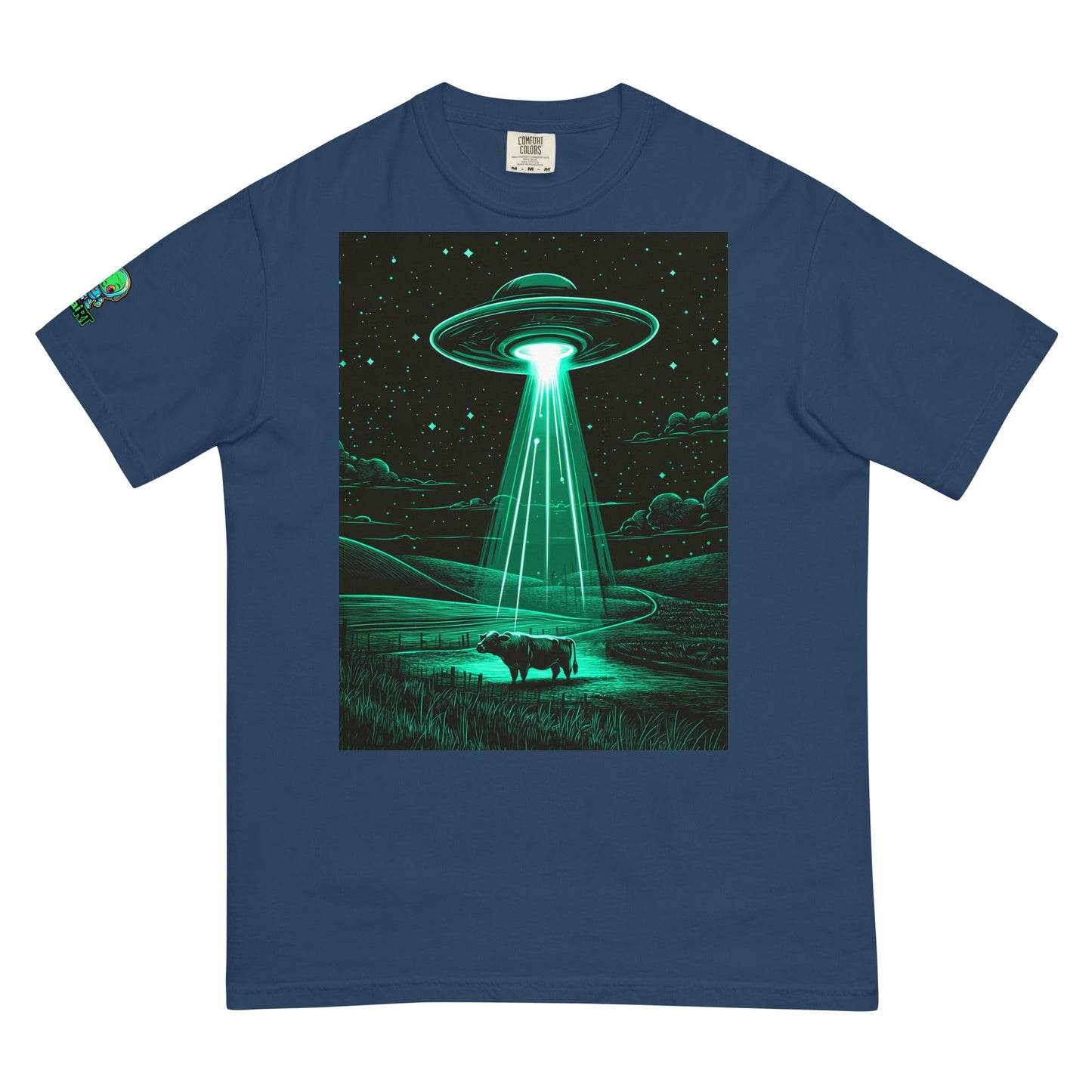 The Abduction Chronicles - Unisex garment - dyed heavyweight t-shirt - BBairt