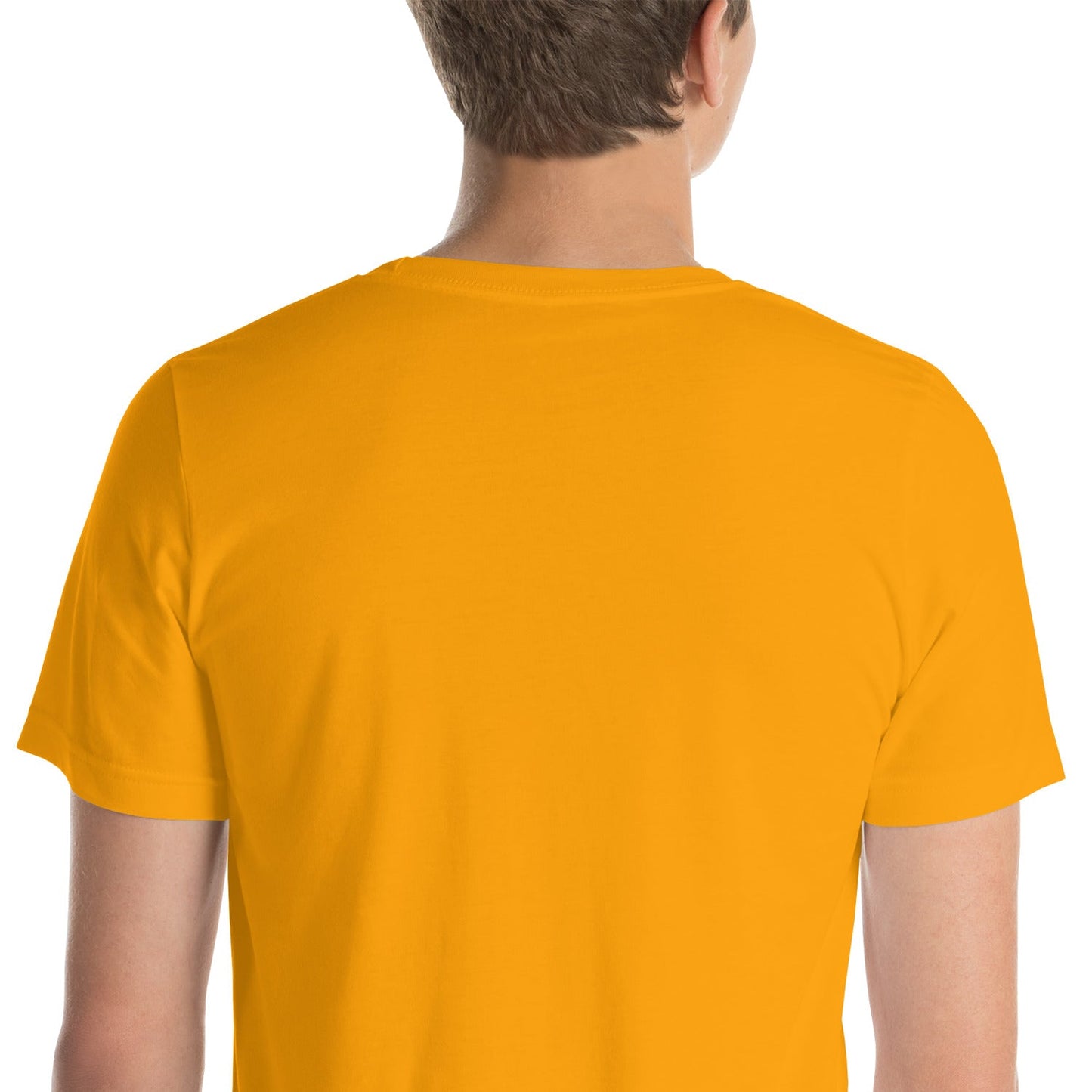 The Mask of Wisdom: Alden - Unisex t-shirt - BBairt