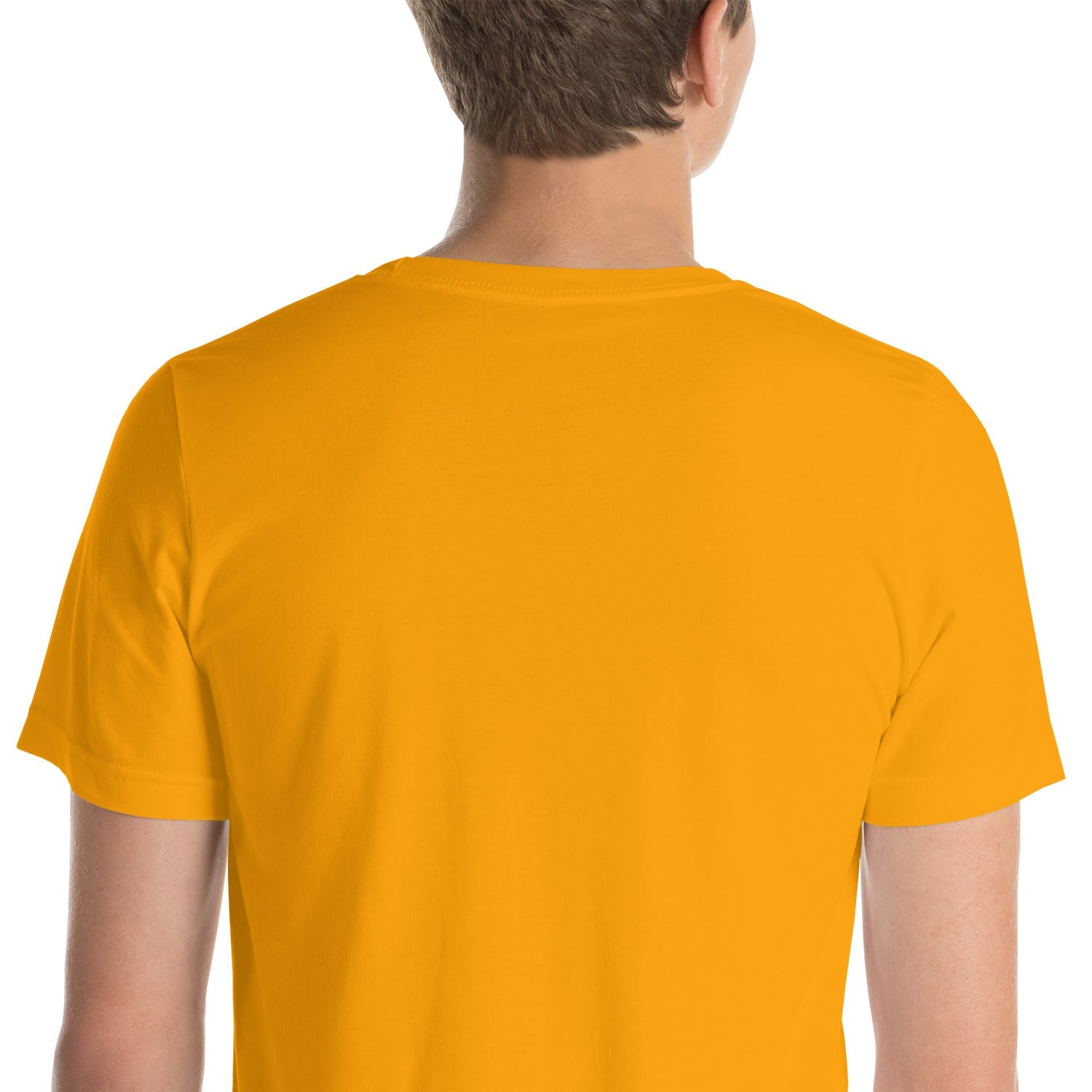 The Mask of Wisdom: Alden - Unisex t-shirt - BBairt